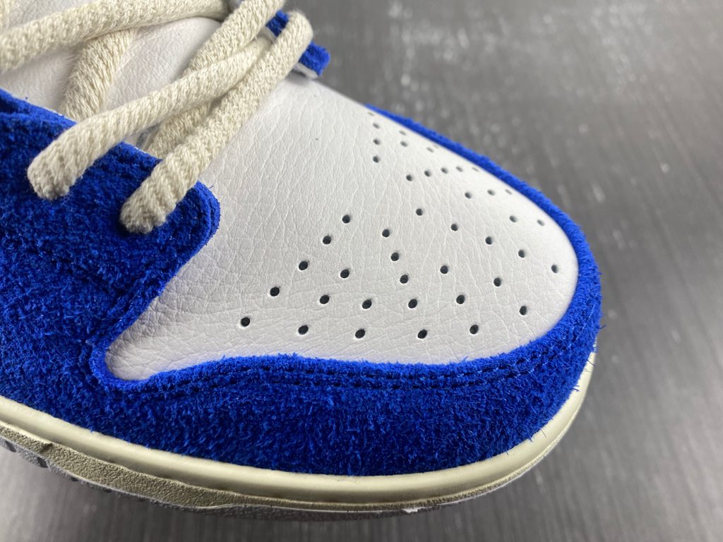 Fly Streetwear x Nike SB Dunk Low 2023 DQ5130-400